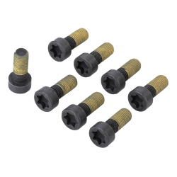 Flywheel bolts LuK 411022610 (BMW 11227805708)